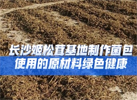 长沙姬松茸基地制作菌包使用的原材料绿色健康