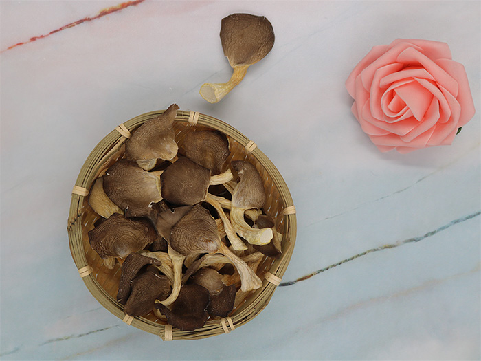 鲍鱼菇干货