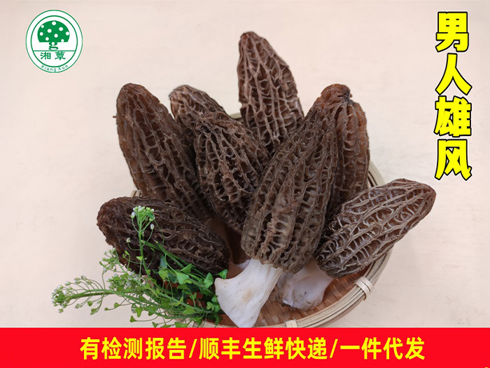 羊肚菌鲜货