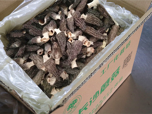 羊肚菌干货