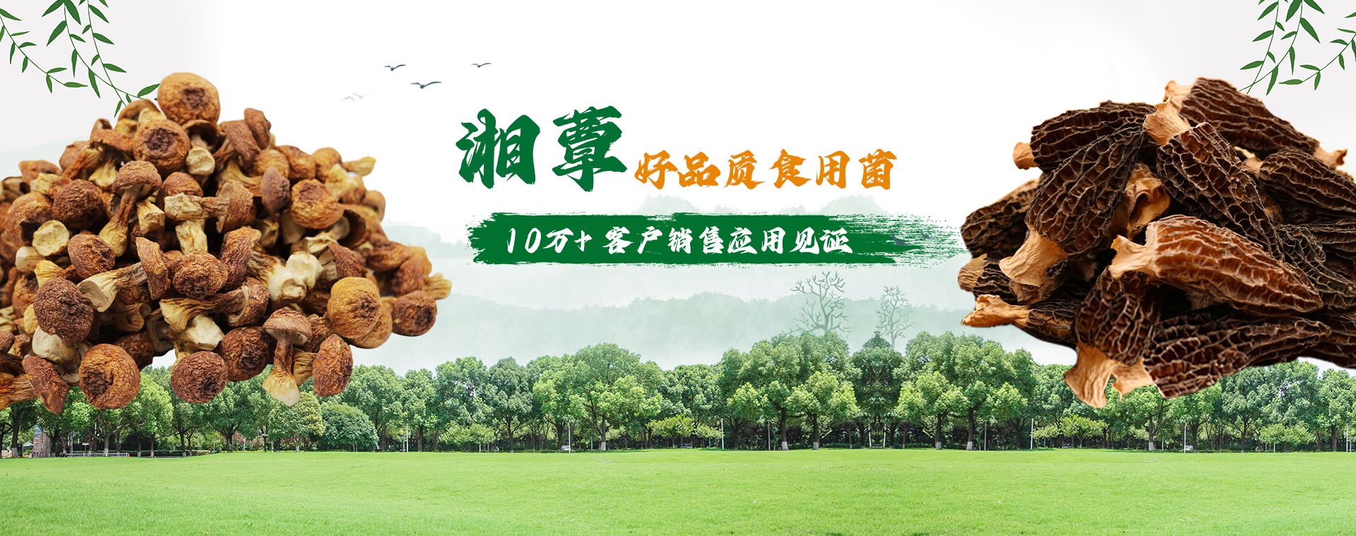 产品中心